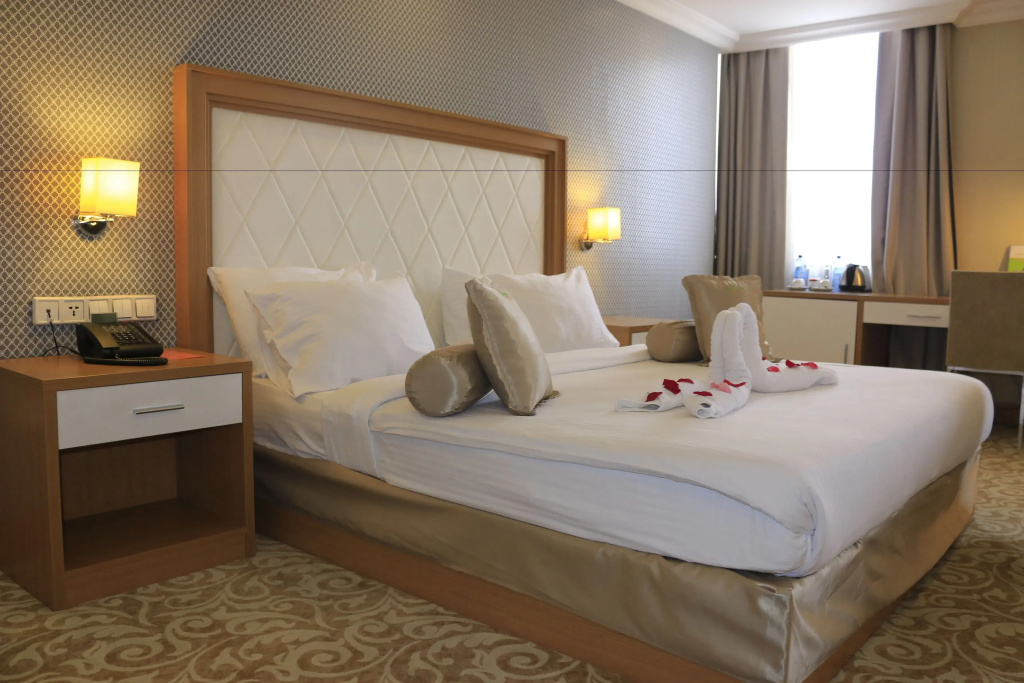 Standard Single room with mountain view