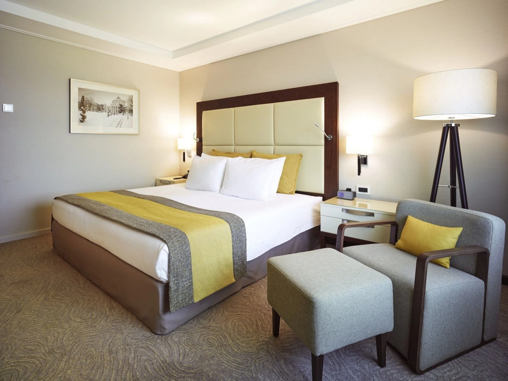 Standard Double room (full double bed)