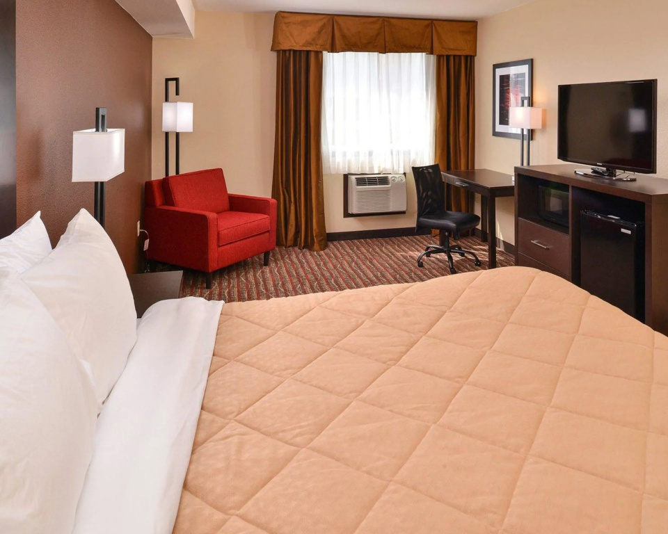 1 Bedroom Double Suite (full double bed)