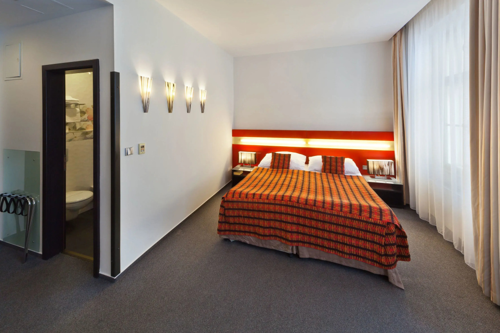 Standard Double room with city view (full double bed)