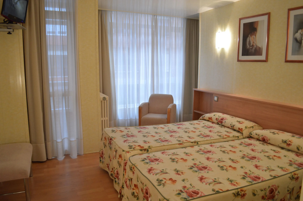Standard Double room (twin beds)