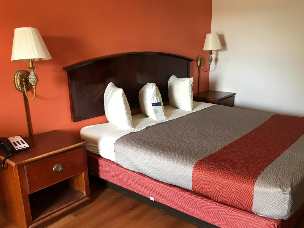 Standard Double room (full double bed)
