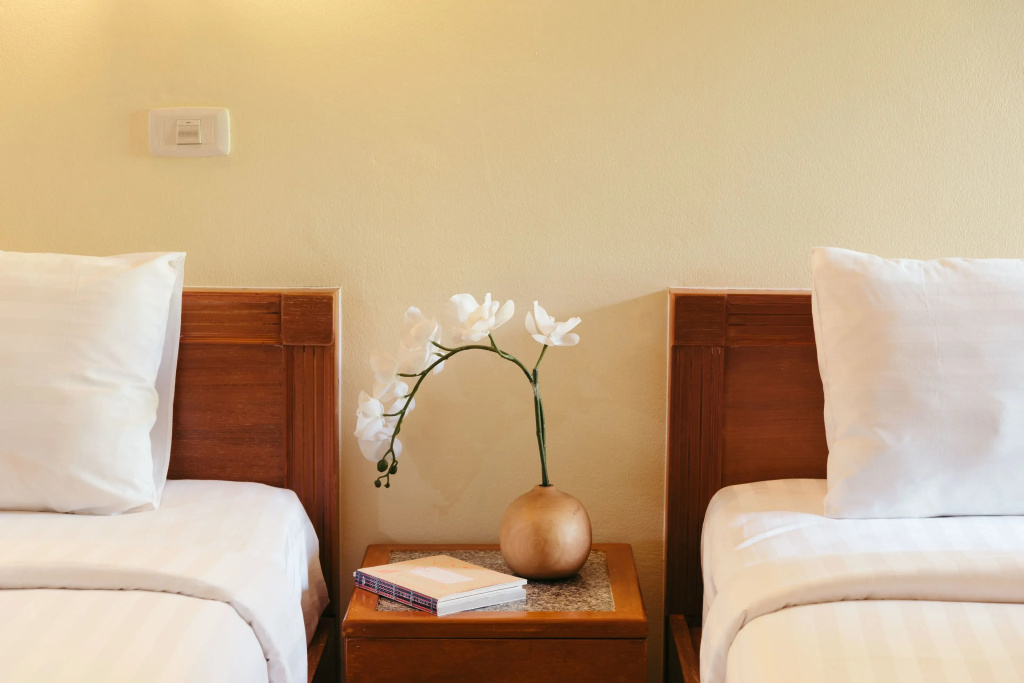 Superior Double room (twin beds)