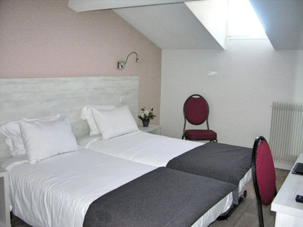 Standard Double room with city view (twin beds)