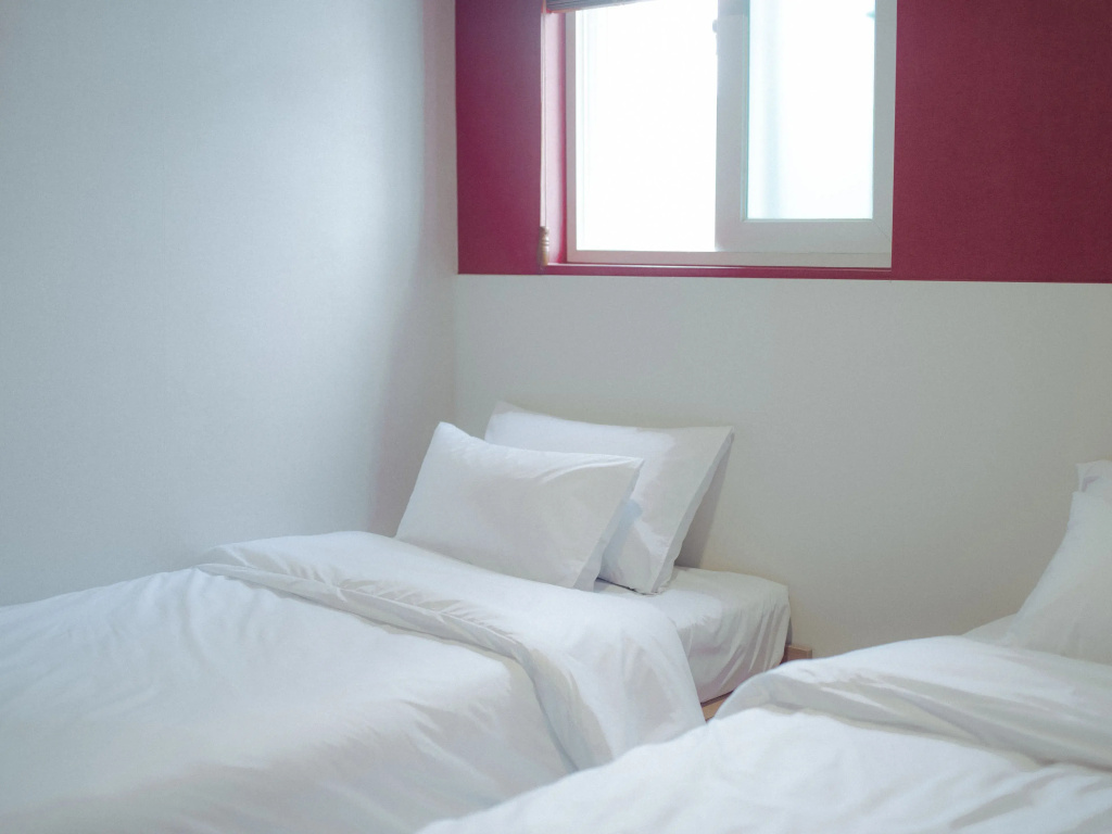 Deluxe Double room (twin beds)