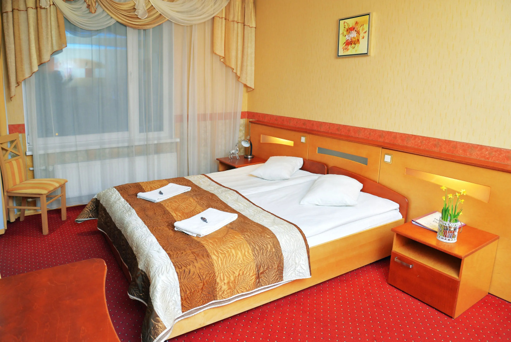 Standard Double room (full double bed)
