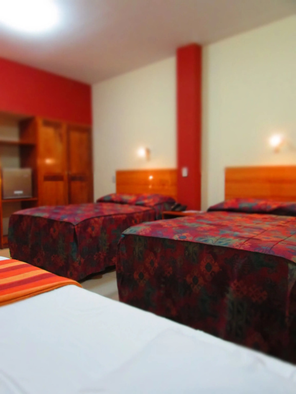 Palau Amazonas Hotel - Chambres