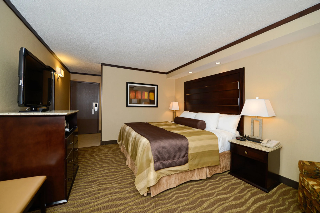 Standard Double room (full double bed)