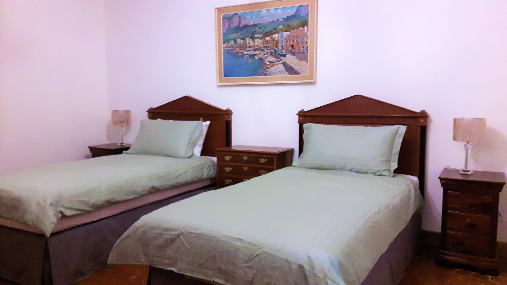 Standard Double room (twin beds)