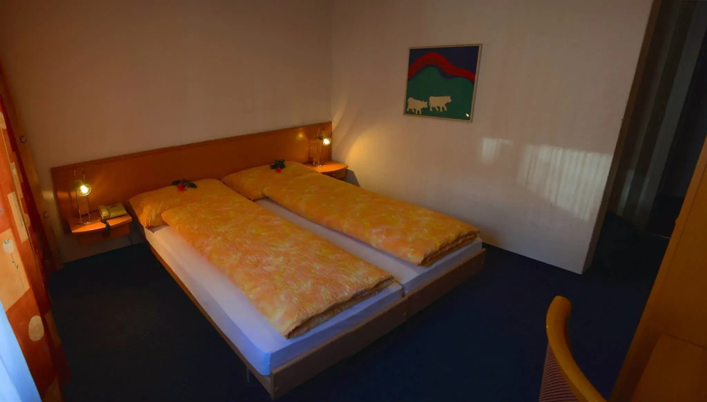 Standard Double room (twin beds)