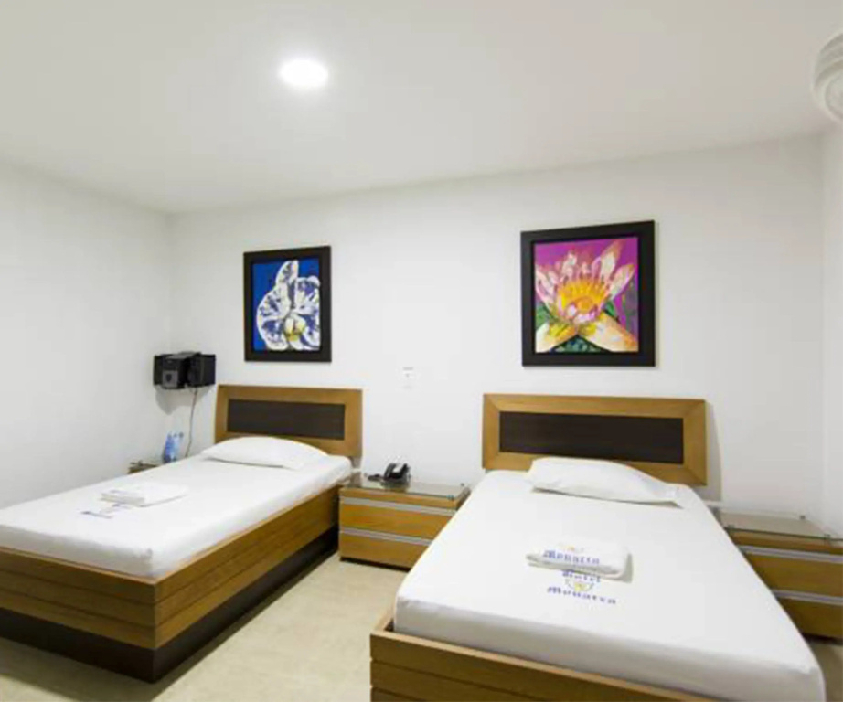 Superior Double room (twin beds)