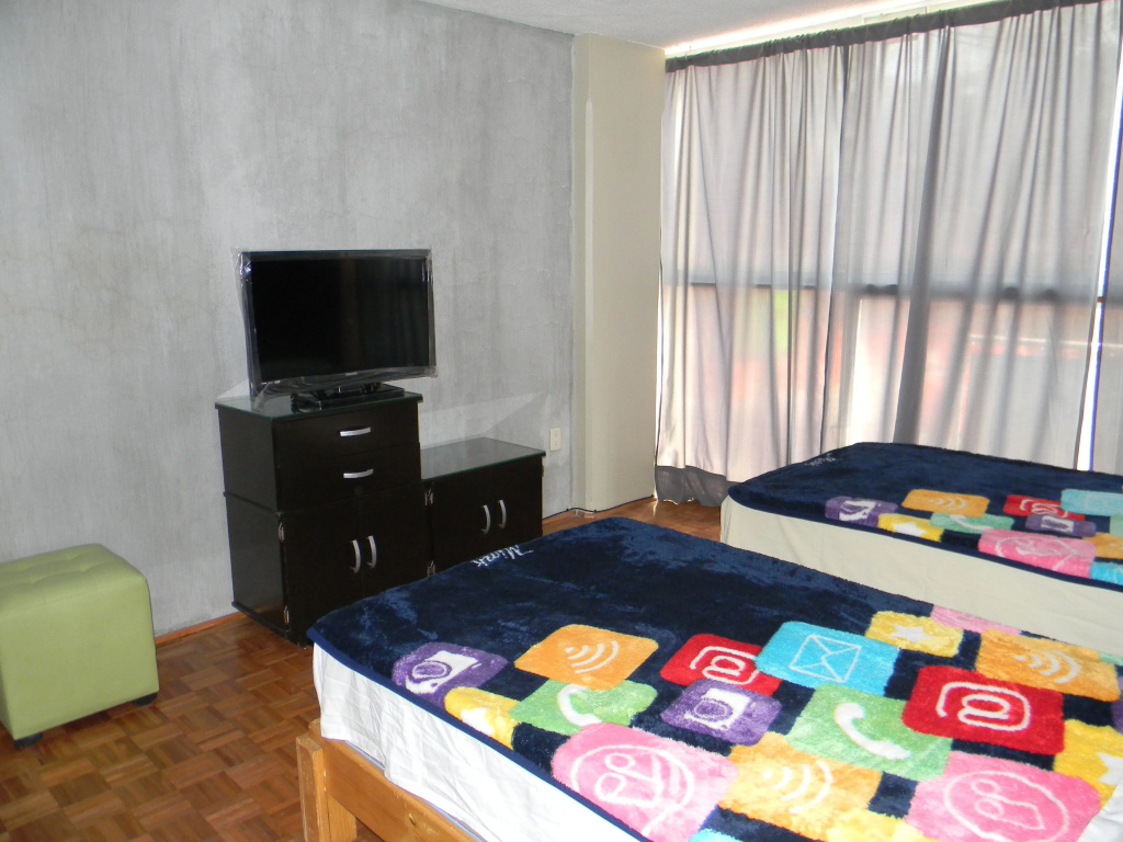 Standard Double room (twin beds)