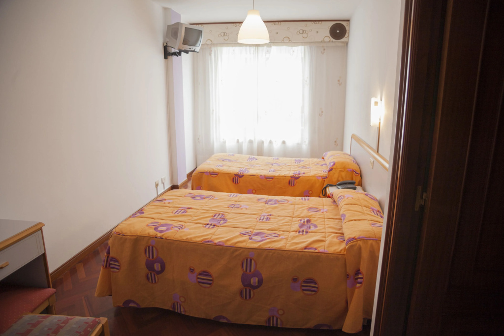 Standard Double room (twin beds)