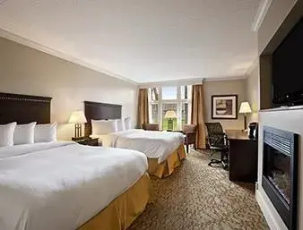 Executive Double room (twin beds)