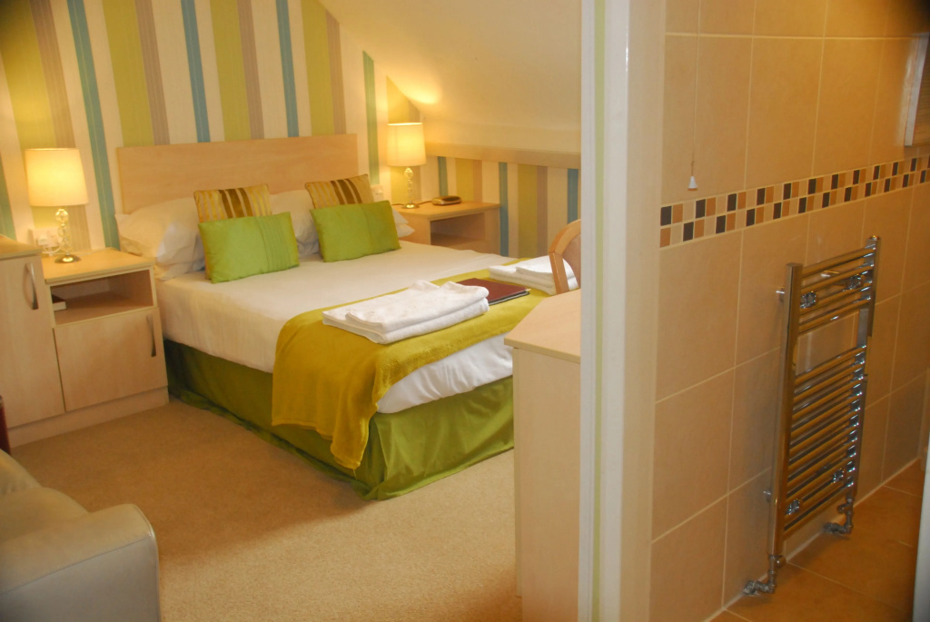Standard Double room (full double bed)