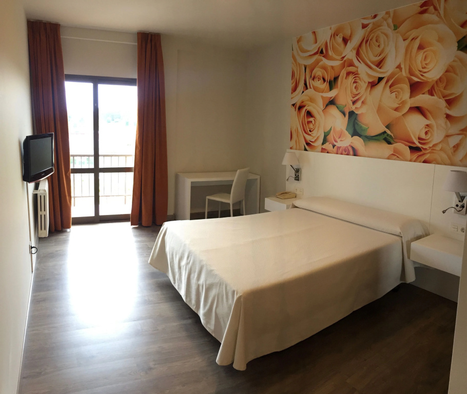 Standard Double room (full double bed)
