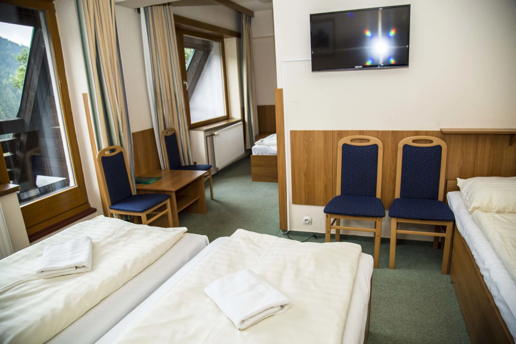 Parkhotel Harrachov - Chambres