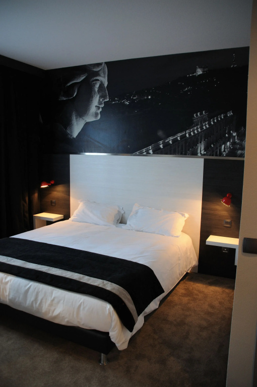 Hôtel des Lumières Lyon Meyzieu Arena Stadium - Chambres