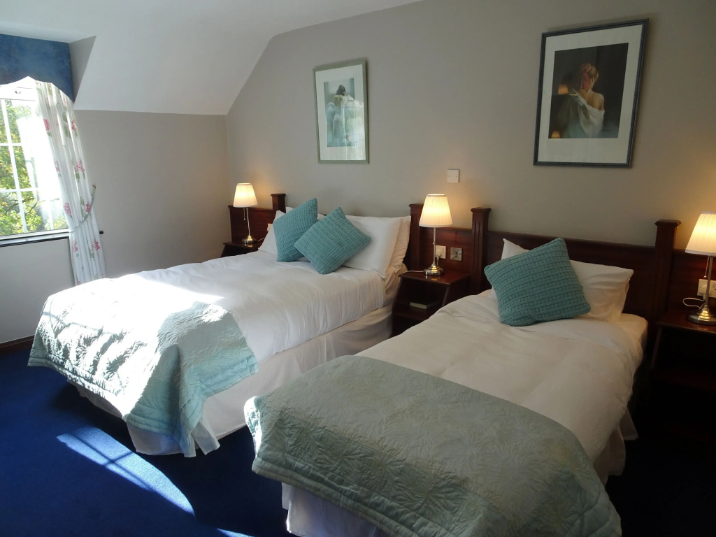 Standard Double room (twin beds)