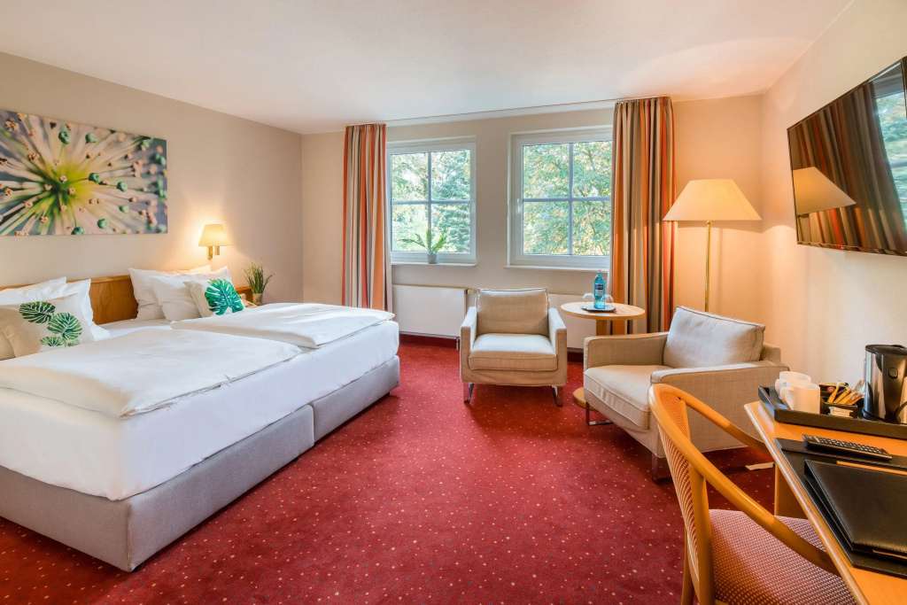 Superior Double room (full double bed)