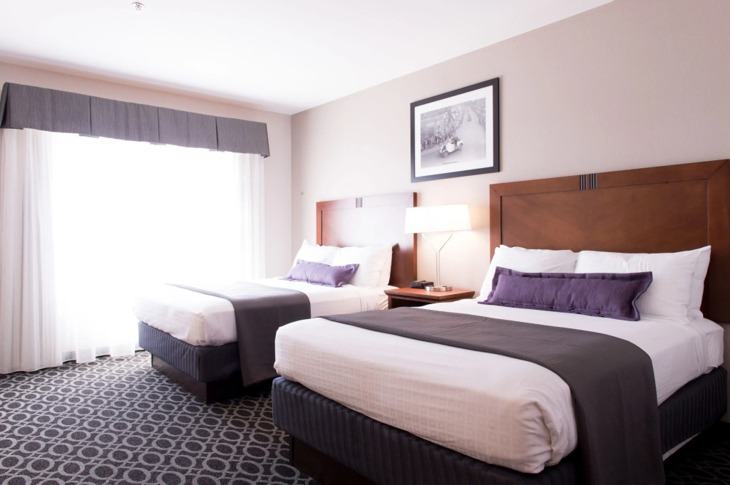 Bluemont Hotel - Chambres