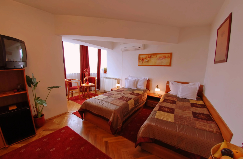 Standard Double room (twin beds)