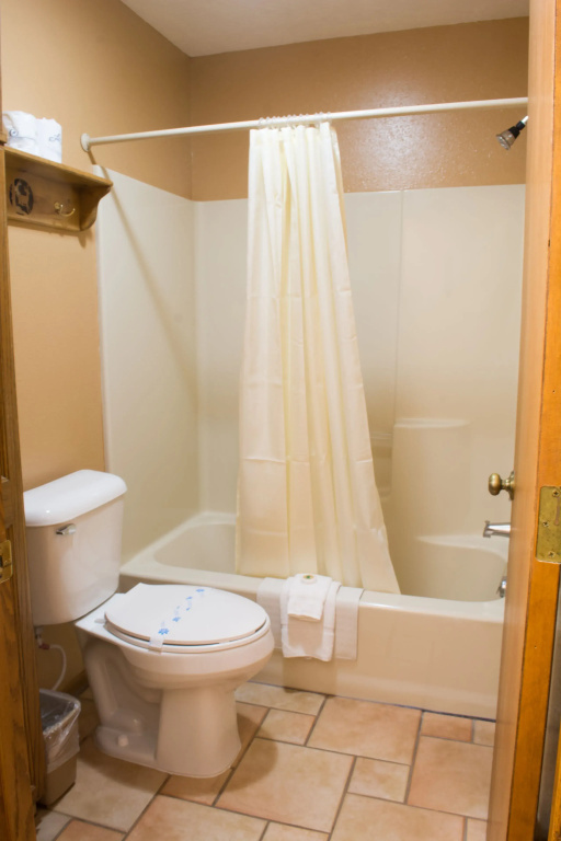 Standard Double room with mountain view (full double bed)