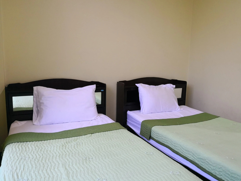 Standard Double room twin beds