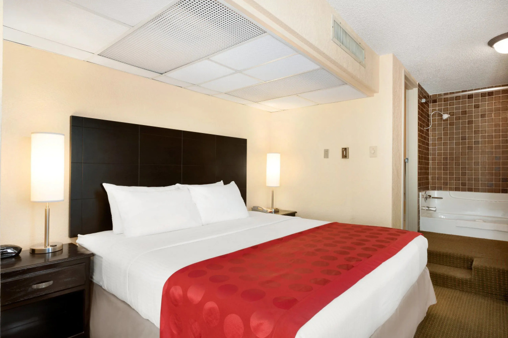 Standard Double room (full double bed)