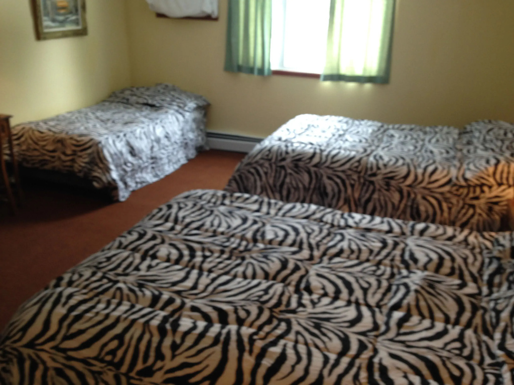 Standard Family room