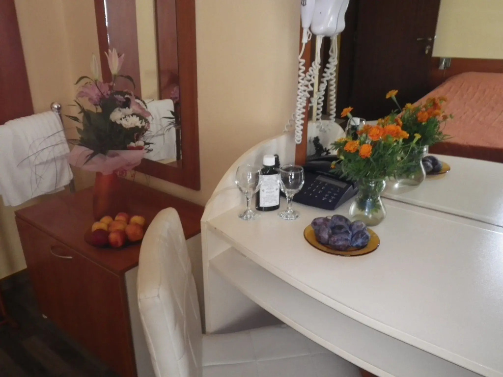 Palitra Family Hotel - Chambres