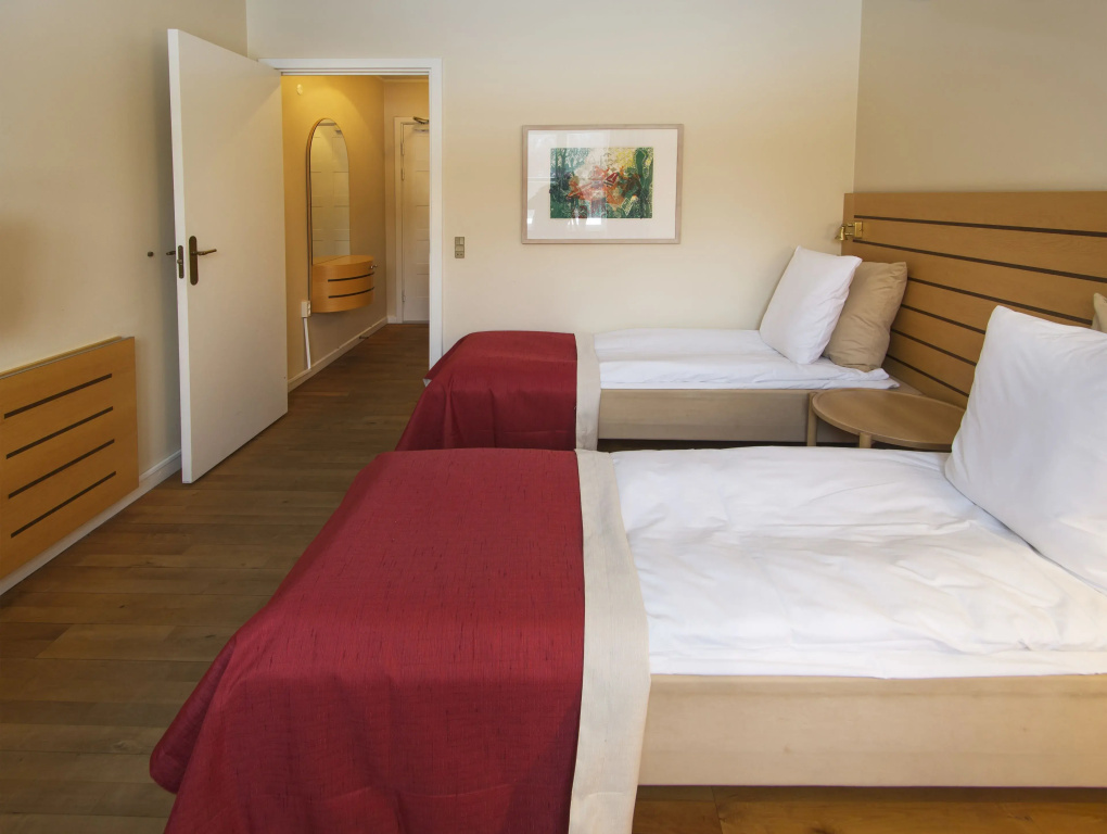 Standard Double room (full double bed)