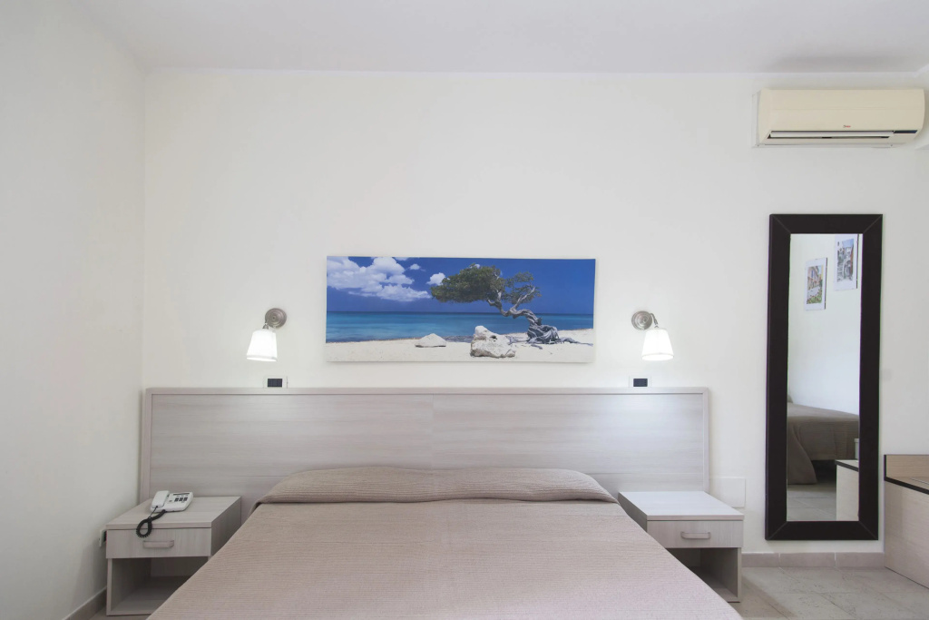 Standard Double room (full double bed)
