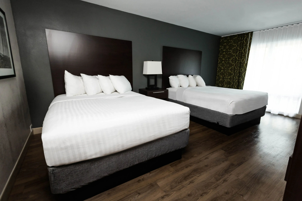 Premium Quadruple room