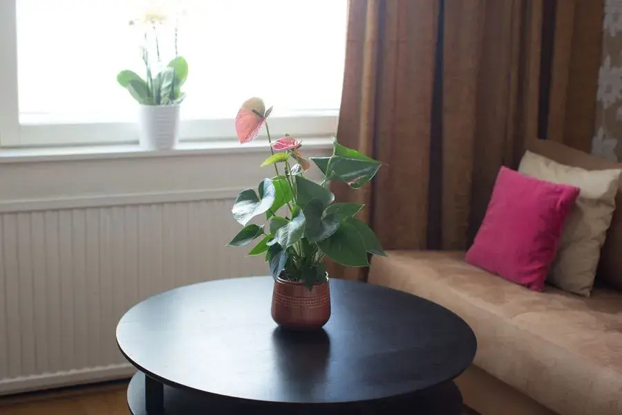 Best Western Capital Hotel - Chambres