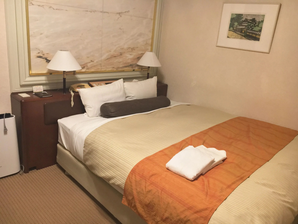 Standard Double room (full double bed)