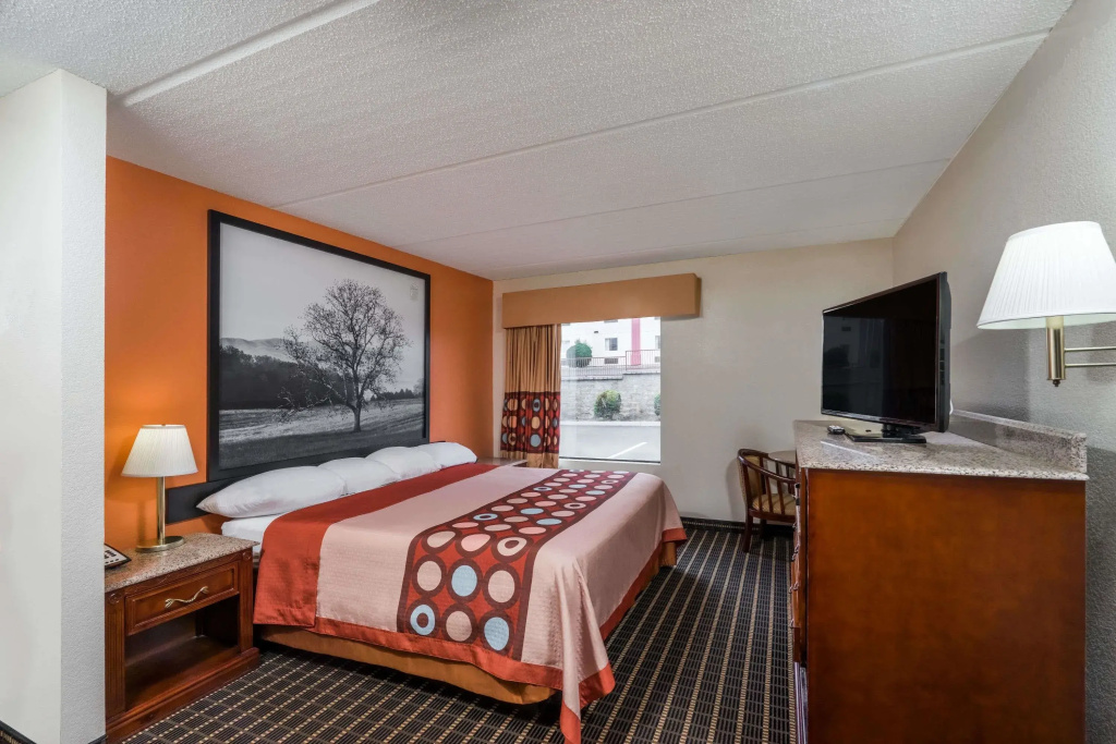 Standard Double room (full double bed)