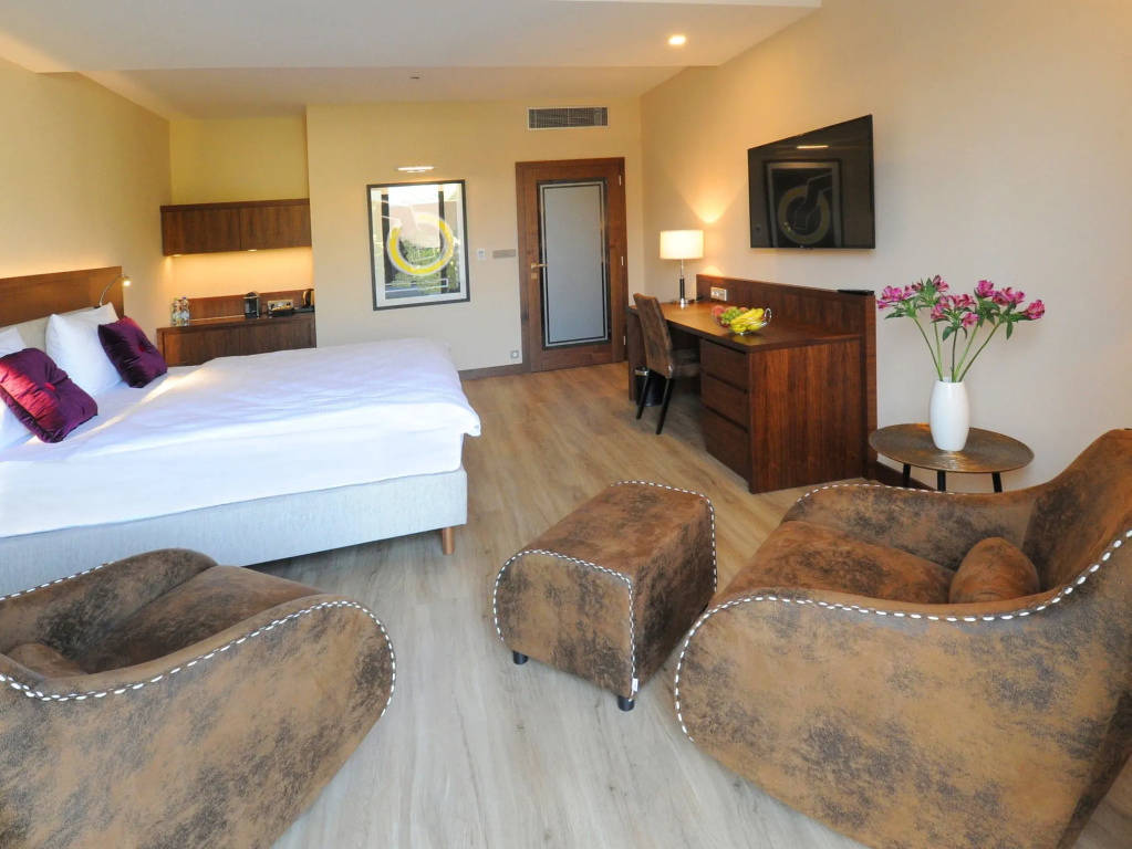 Deluxe Double room with courtyard view (full double bed)