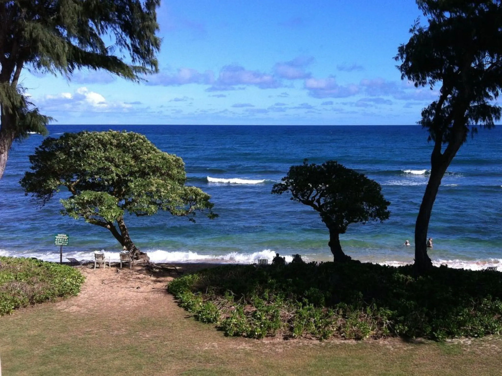 Standard Quadruple room oceanfront