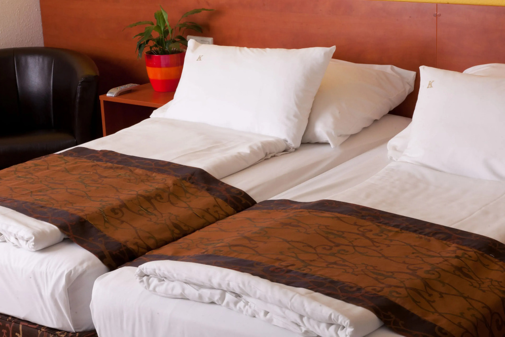 Standard Double room (full double bed)