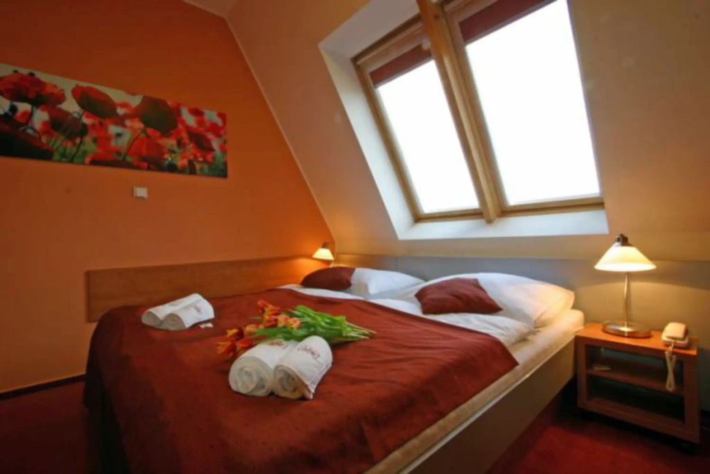 Comfort Double room (full double bed)