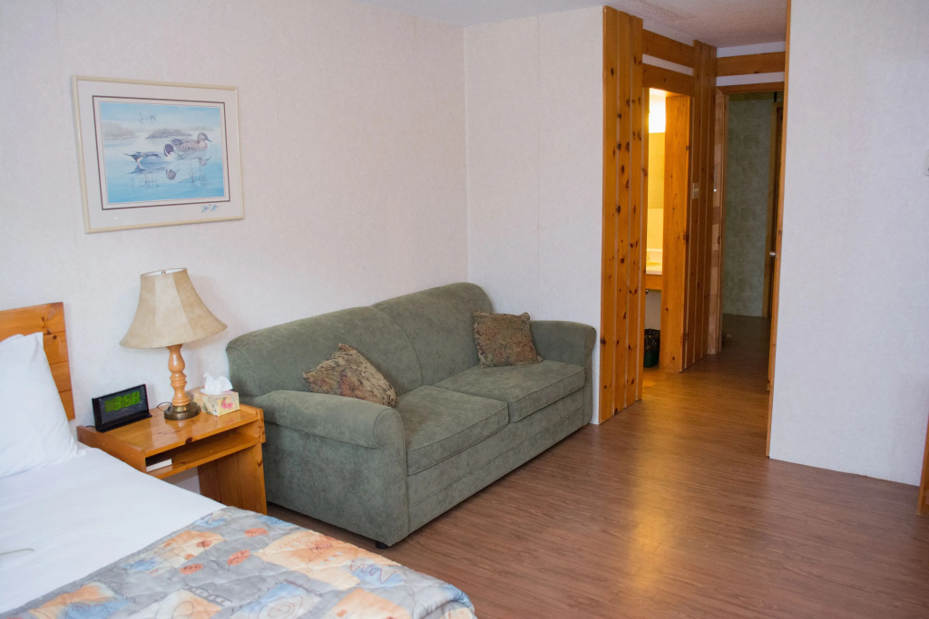 Standard Double room (full double bed)