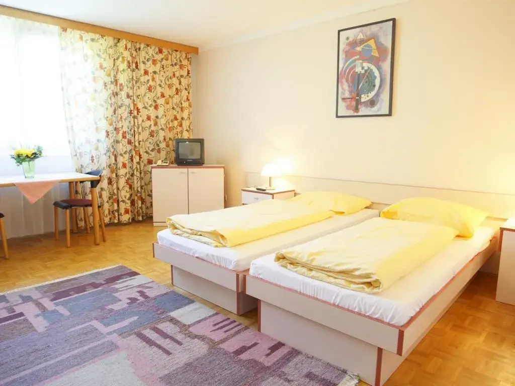 Standard Double room (full double bed)