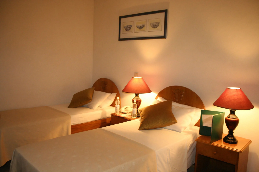 Standard Double room (full double bed)