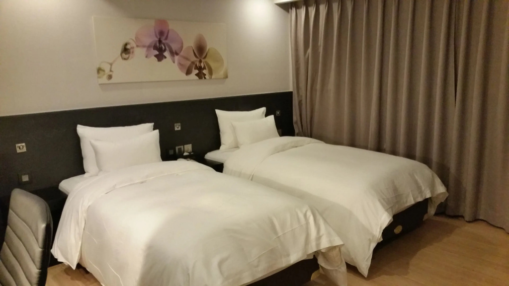 Standard Double room (twin beds)