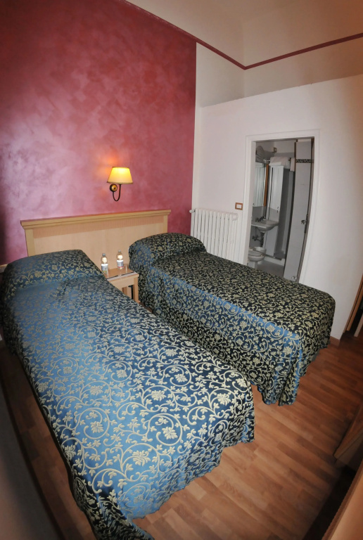 Standard Double room (twin beds)