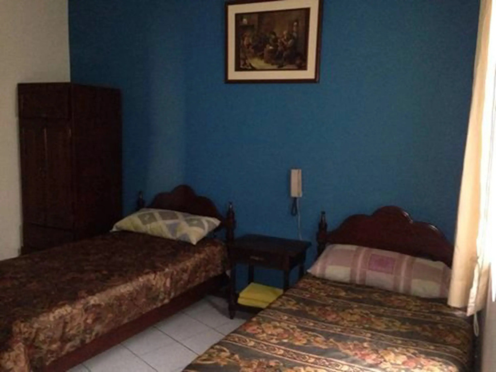 Standard Double room (twin beds)