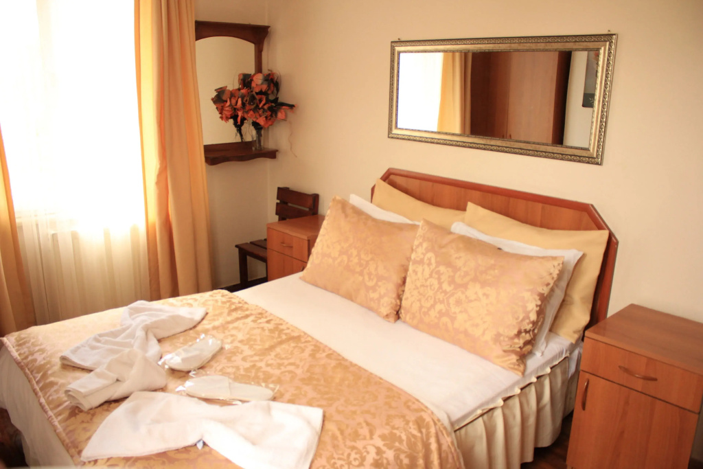 Standard Double room with lake view (full double bed)