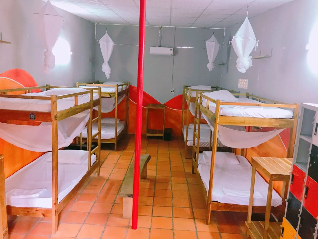 Bed in Dorm