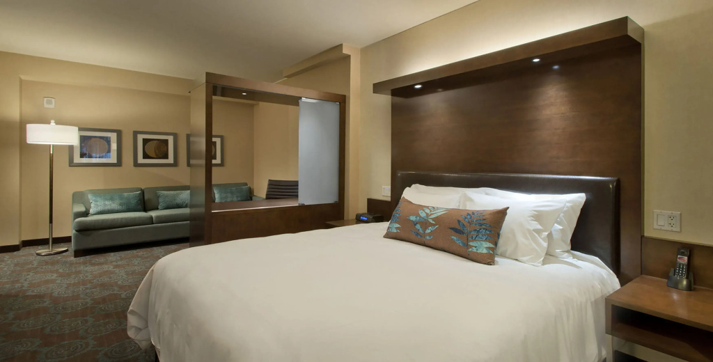 Double Studio with city view (full double bed)
